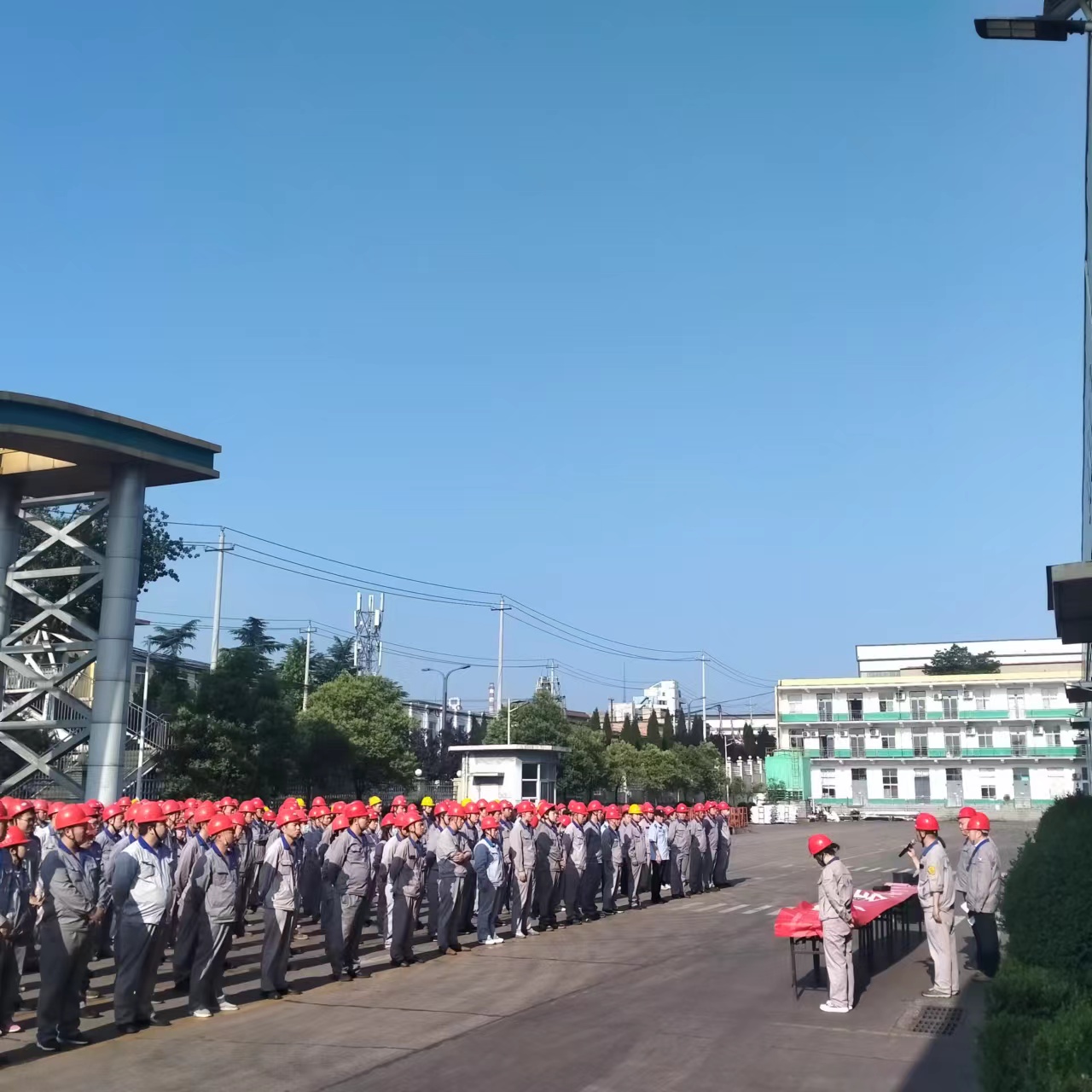 1685672632588929.jpg 2.jpg